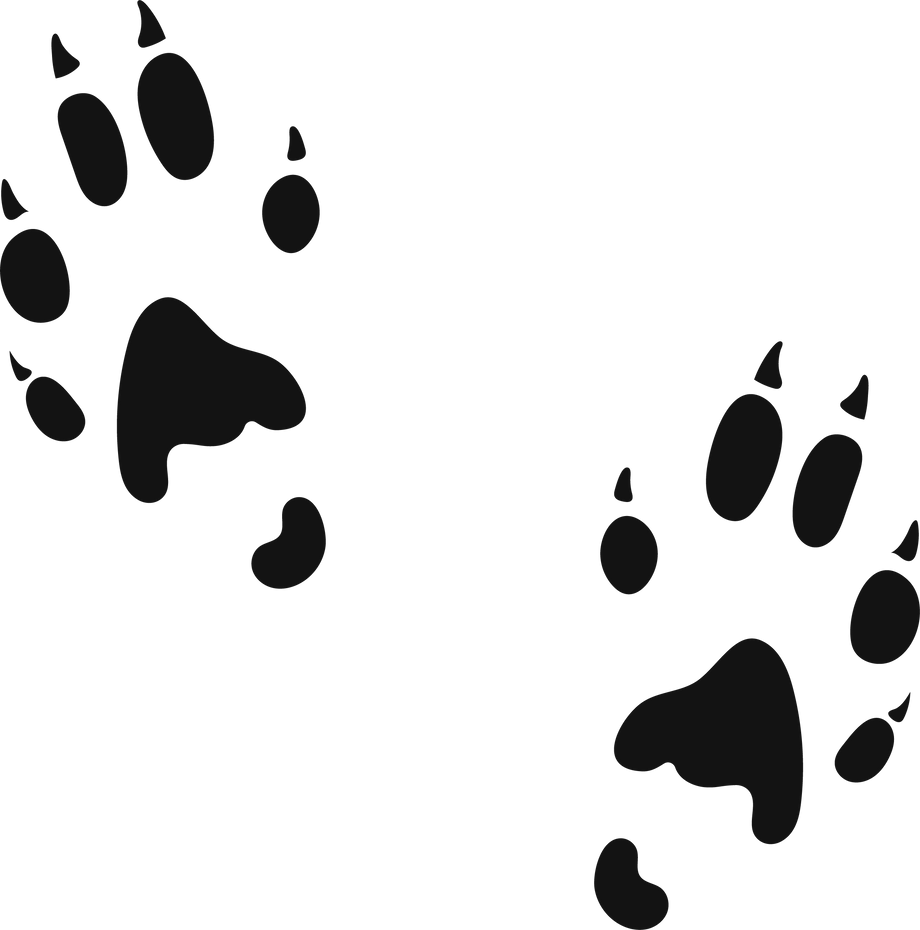 Wild animal paws logo. Marten feet track